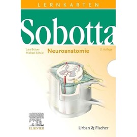 Sobotta Lernkarten Neuroanatomie: Neuroanatomie