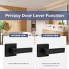 Estmoon 2 Pack Privacy Door Levers Door Handle Matte Black