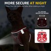 SCENEREAL Cat Harness & Leash Set Escape Proof - Adjustable