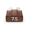 AUPROTEC Micro 2 Car Fuses Blade Fuses MikrOTO II 5A