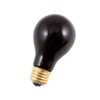 Black Light Bulb 75w/120v
