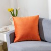 RainRoad Fall Orange Throw Pillows Covers Set of 2 Soft