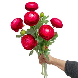 6 Pcs Purplish Red Ranunculus Artificial Flowers,Artificial Faux Silk Ranunculus Flowers with Real Touch Stems,Fake Peony Flowers for Floral Arrangements DIY Wedding Bouquet Party Table Home Decor