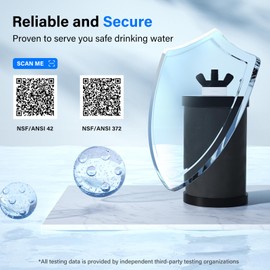 Purewell PF-1-FL Upgraded 4-Stage Composite Carbon and Fluoride Reduction Filters, Compatible with Berkey® Big+, ProOne® Big+ Gravity Water Filter Systems and Purewell Systems (2 Pack, K Series)