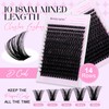 Eyelash Extensions, D Curl, Natural Eyelash Clusters, Lashes, 100D-10-18 mm,
