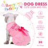 Dog Birthday Dress Dog Dress with Bowknot Tulle Birthday Princess