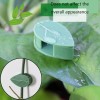 120 Set Plant Climbing Wall Fixture Clips with Easy Clean