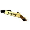 Uniform Name Badge, Military/Police Style with Clutch or Magnet Back,