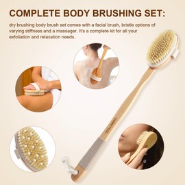 DEBETOOL Dry Brushing Set - Natural Boar Bristle Body & Face Brush, Wooden Long Handle Scrub Brush for Cellulite & Lymphatic Drainage Body Care, Detachable, 3 Brush Heads