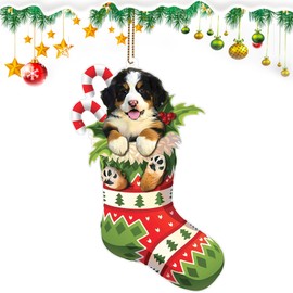 Bernese Mountain Dog Christmas Ornaments, Dog Christmas Ornament Sock Acrylic Ornament Tree Hanging Tree Topper, Dog Ornament 2024 for Decoration (Bernese Mountain)