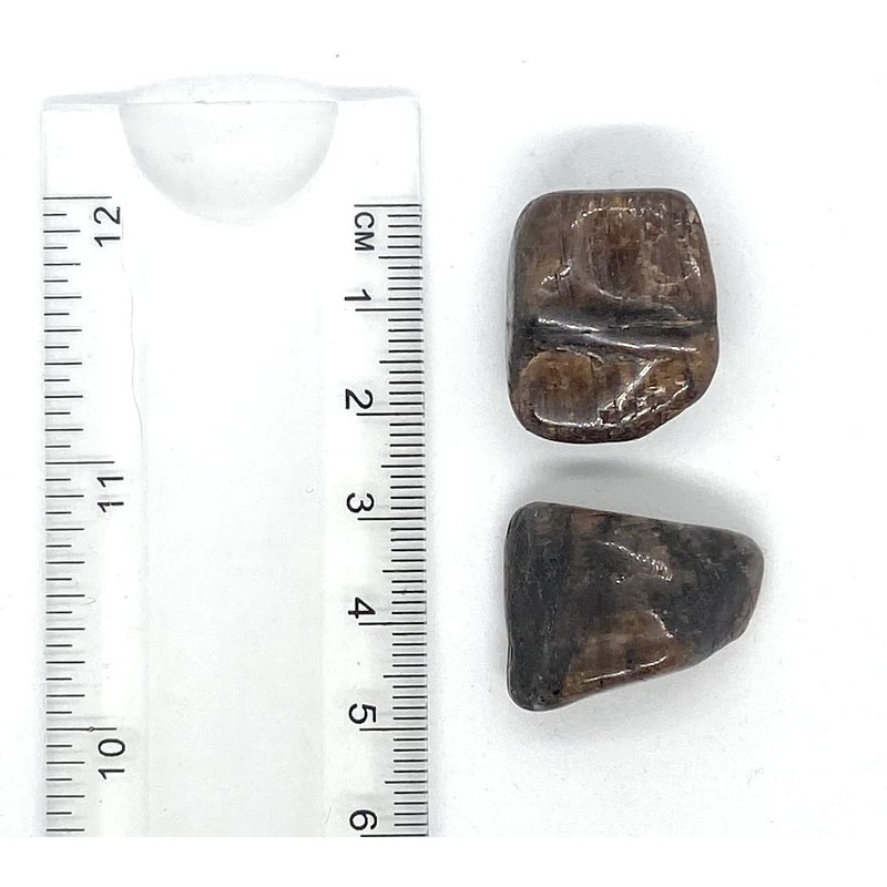 Chiastolite Medium Crystal Tumble Stone - 1 Pc