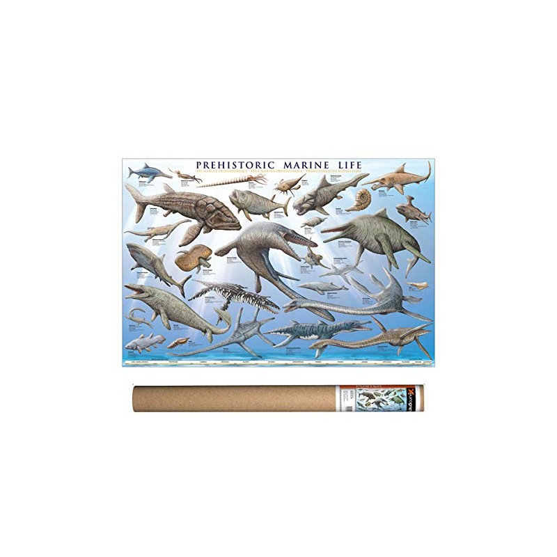 EuroGraphics Prehistoric Marine Life Poster, 36 x 24 inch