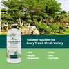 16oz Tree and Shrub Plant Food - Makes 16 Gallons