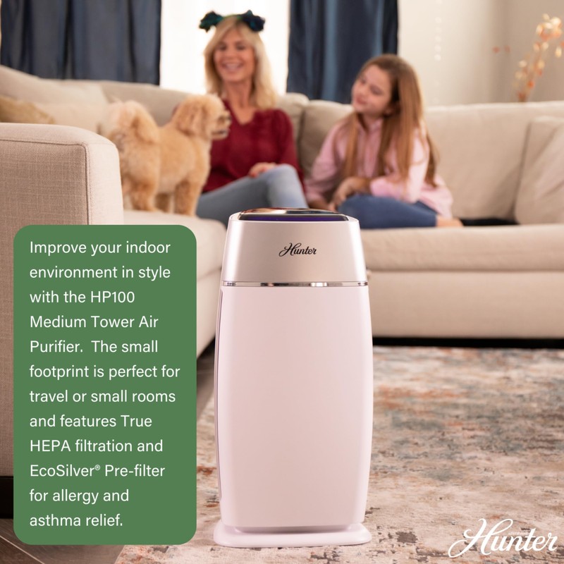 Hunter Fan Company HP100GRS Air Purifier, Small Tower, Gray &