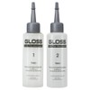 GREAT 그리에이트 그로스 크리닉 치오 웨이브 로션1제100+2제100ml [20_일반세라믹롯드1팩10개(6호)] GREAT GROSS