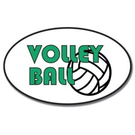 AK Wall Art Volleyball Oval Car Vinyl Sticker - SELECT SIZE - (A) X-Small: 2.5"