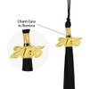 Black Graduation Plain Tassel