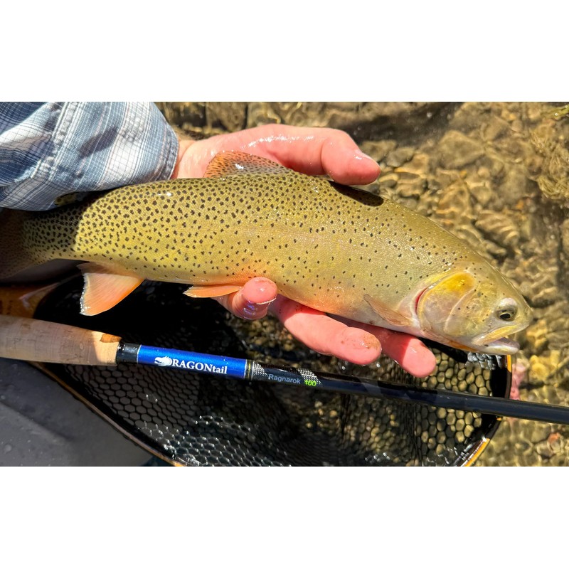 Ragnarok 400 Tenkara Rod (13ft Tenkara Rod)