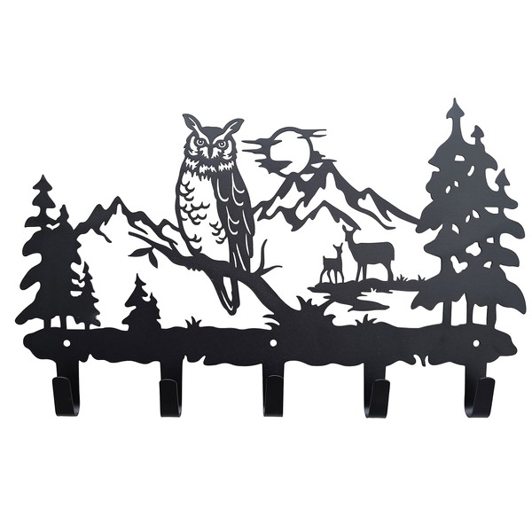 VVIVICOMF Metal Owl Hooks Wall Art Decor-Owl Hangers and Key