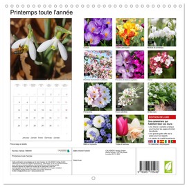 Printemps toute l'année (Calendrier mural carré 2026 30 x 60 cm (ouvert)) Calendrier double avec une page pour vos prises de notes