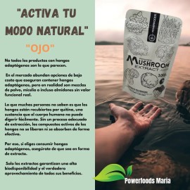 Hongo Adaptógeno, Extracto Puro 100% Soluble 100g.