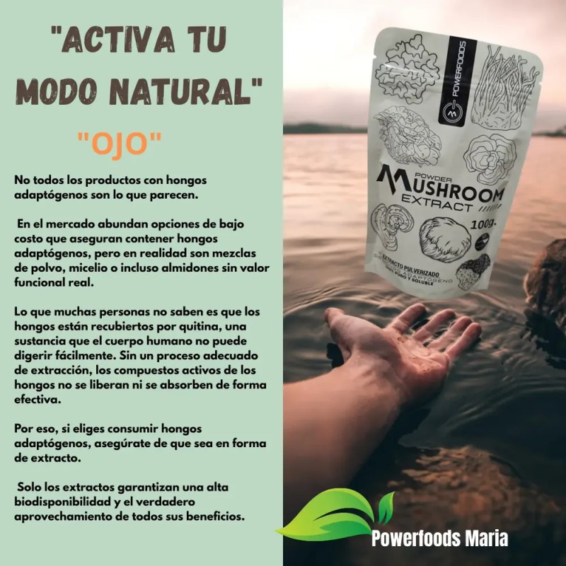 Hongo Adaptógeno, Extracto Puro 100% Soluble 100g.