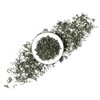 GOARTEA Biluochun Green Tea 4Pcs 250g / Total 35.2oz Premium