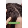Shampoo Natural Anticaspa Descamación Árbol Verde Canela Y Menta 500ml