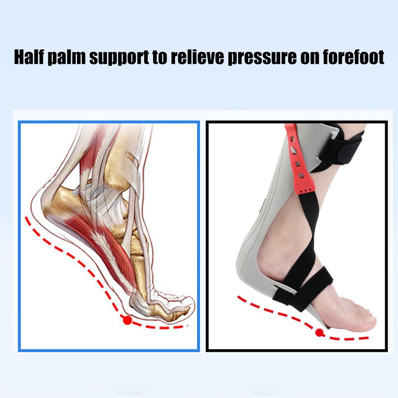 Ankle Support Stable Fixed Strap Design Ankle Compression Sleeve for