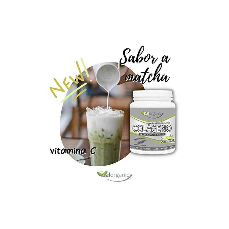 Colágeno Hidrolizado. Adicionado con Matcha y Vitamina C. 500 Gramos.