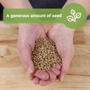 Sow Right Seeds - Bulk Cilantro Seeds for Planting -