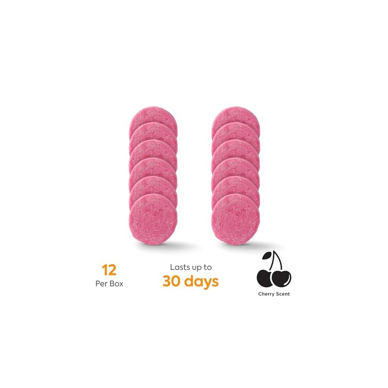 Brighton 71074 Non-Para Deodorant Block Berry Scent 12/Box