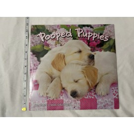POOPED PUPPIES - 2025 WALL CALENDAR - BRAND NEW - 940041