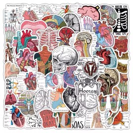 Human Anatomy 20 Random Human Anatomy Stickers Physiology Decals Laptop Hydro Free Shipping!