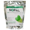 Nopal Powder 300g / 100% Natural Dehydrated Cactus Pad Powder