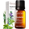 Gya Labs Mezcla Aceite Esencial Dolor Cabeza Difusor Set Aceites
