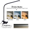 LED Desk Lamp for Home Office with Clamp [LEDs Light