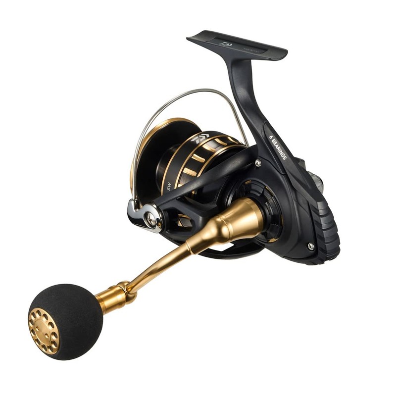 Daiwa 6000D-H Spinning Reel 23BG SW