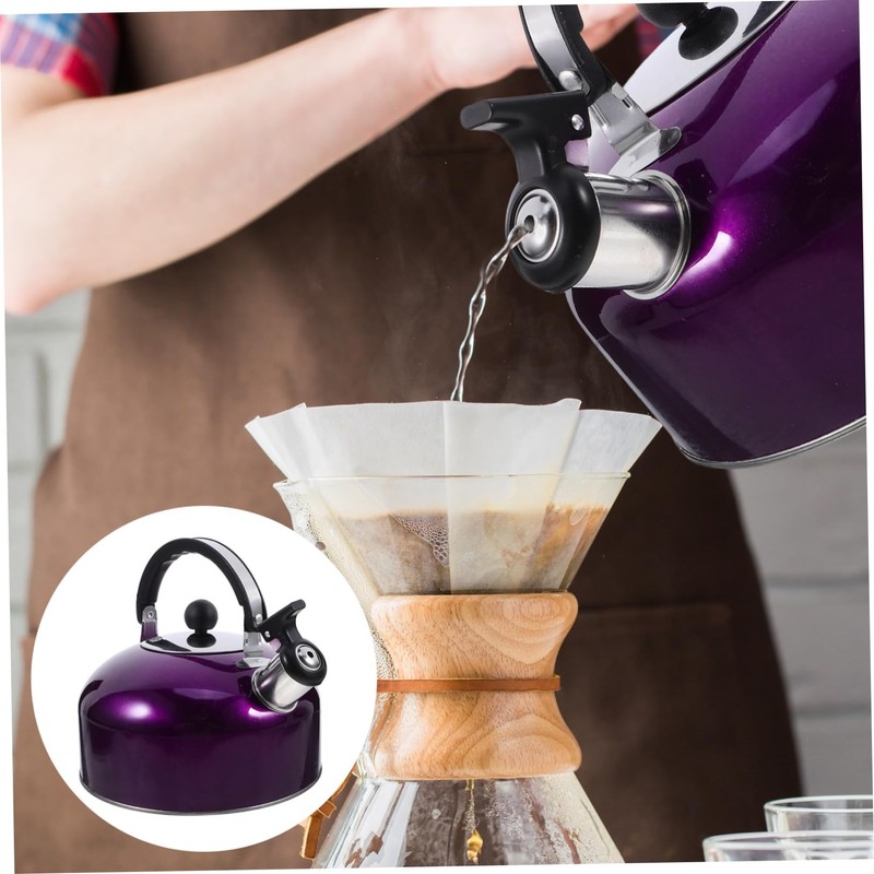 Gatuida Whistling Kettle Stainless Steel Spherical Boiling Pot for Kitchen