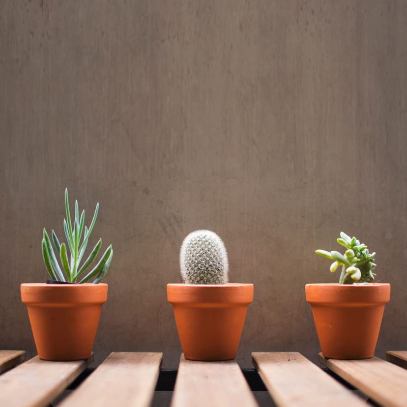 ACCURATE Garden Pot - Terracotta (20 CM)