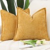 Madizz Patterned Chenille Plush Cushion Cover Set of 2 Soft