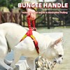 PUPTECK No Pull Dog Harness Small Sized Dog, Adjustable Reflective