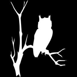 Transparent Decal Stickers of Owl Branches Tree (White) Premium Waterproof Vinyl Decal Stickers for Laptop Phone Accessory Helmet Car Window Mug Tuber Cup Door Wall Decoration USCSKUS785001WH102522
