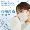 グディナ 快適立体接触瞬間冷感バイカラーマスク個別包装 冷感マスク クールマスク MASKCOOL 不織布マスク 冷感不織布マスク(30, ホワイト)