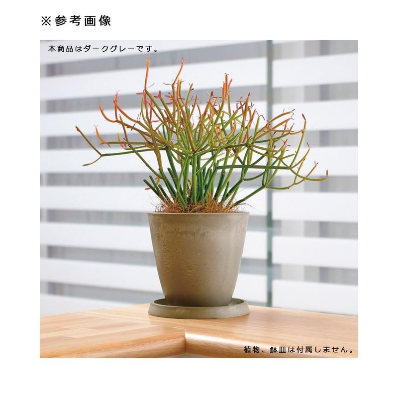 Richell Design Planter, Botany Plain Pot, 20 Type, Dark Gray