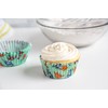 Fox Run Dinosaur Paper Muffin and Cupcake Liners, Set of