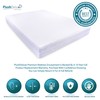 PlushDeluxe Premium Zippered Mattress Encasement, Waterproof, Bed Bug & Dust