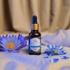 Enhanced Essentials Luxurious Blue Lotus Essential Oil by Enhanced Essentials|with