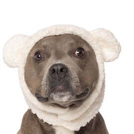 Furhaven Medium Dog Hat, Washable & Cozy - Sherpa Flex-Fit Polar Bear Dog Hat Costume - Cream, Medium