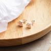 Philip Jones Rose Quartz Heart Stud Earrings with Quote Card